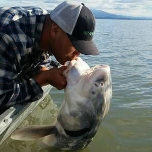 Meet your Posher, Pete